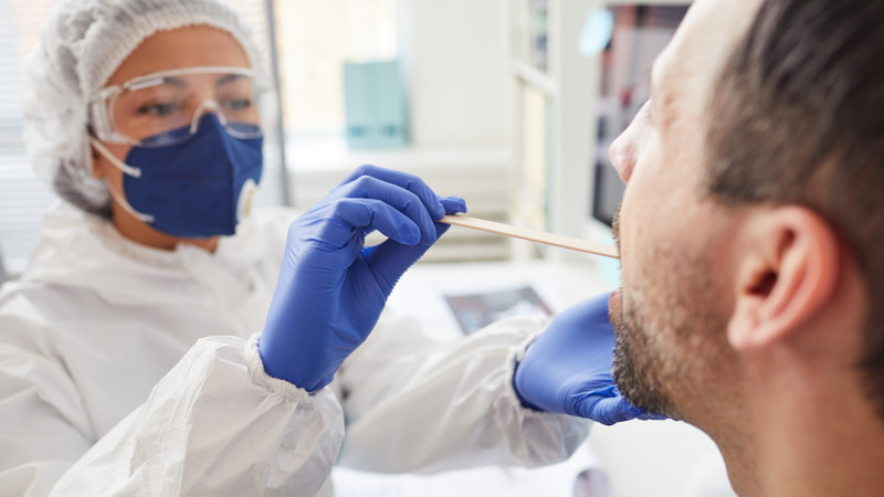 Фото: : elements.envato.com