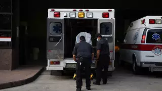 АҚШ тұрғыны бубон обасын жұқтырды: бұл елдегі алғашқы жағдай