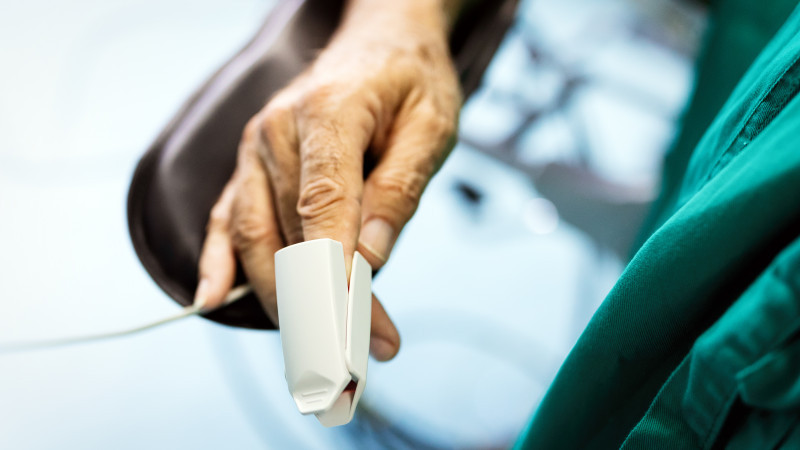 Сурет: elements.envato.com