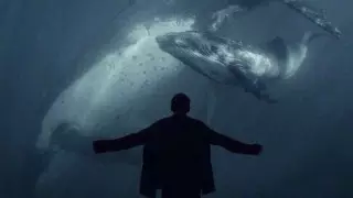 "Синий кит" өлім ойыны Англияда тарай бастады