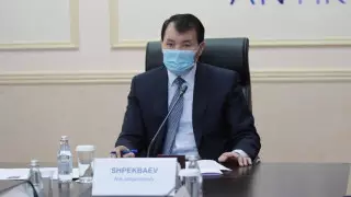 Шенеуніктер мұндай қиын кезеңнің өзінде байып жатыр - агенттік төрағасы