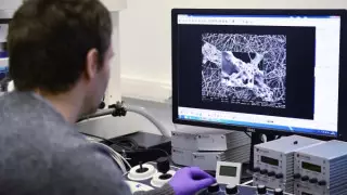 Коронавирусты қайтадан жұқтыру мүмкін бе?