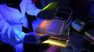 Ультракүлгін коронавирустан қорғамайды - ғалым