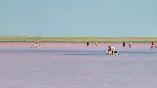 Полиция Көбейтұздан тұз тасығандарды анықтады