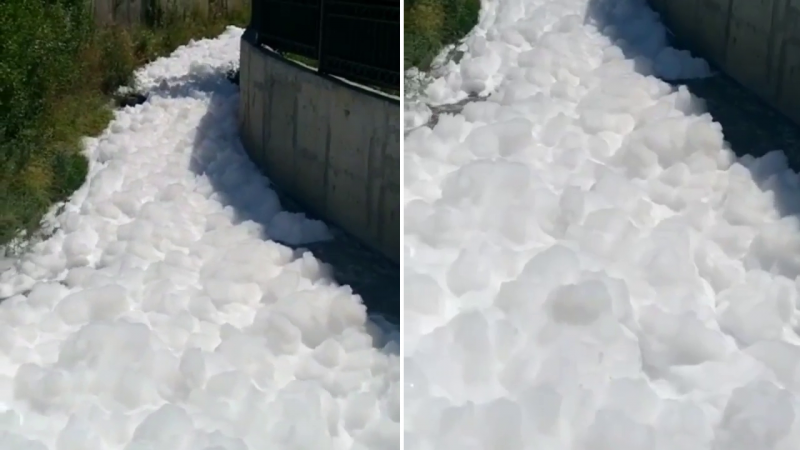 Видео кадрларынан