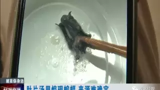 Ухандық отбасы сорпадан өлі жарқанат тапты