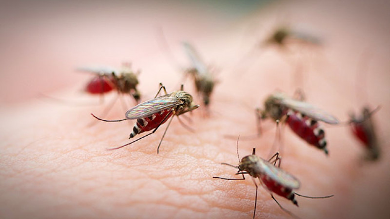 Фото: iStockPhoto