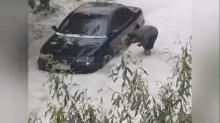 Қостанай бұршақ пен нөсердің астында қалды