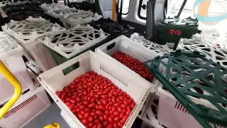 Павлодарда көпбалалы отбасыларға көмекке қызанақ беріледі