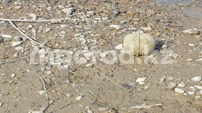 © "Мой Город"