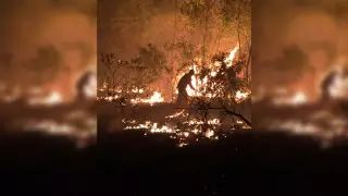 Қазақстанда аптаптан бірнеше орман өртеніп жатыр