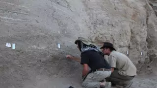 Африкада тас ғасырындағы матрас табылды