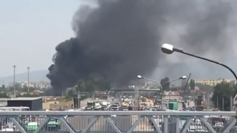 Видеодан алынған кадр