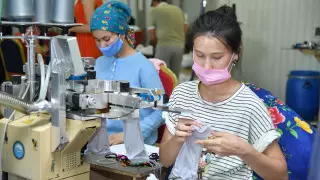 Шымкентте "Еңбек" бағдарламасы аясында 20 мыңға жуық адам жұмыспен қамтылды