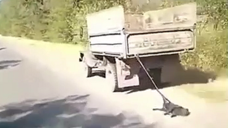 Видео кадрларынан