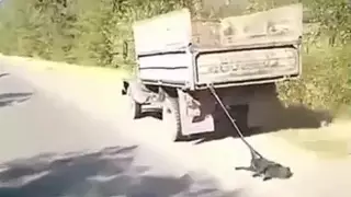 Итті жол бойымен сүйреген жүргізуші әрекетін түсіндірді