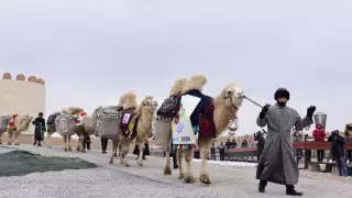 Шымкенттен Мәдени астана эстафетасы Душанбеге жолданды