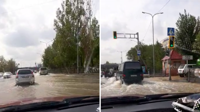 Видеодан алынған кадр