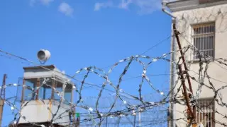 Челах пен Күлекбаев отырған "Қара бүркіт" колониясының басшысы ұсталды