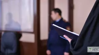 164 миллион теңге салықты төлеуден жалтарған түркиялық сотталды