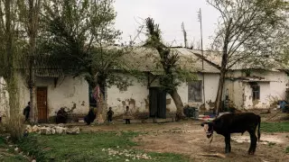 Түркістан облысында әкімдік шаруаларға ақша төлеуден бас тартты