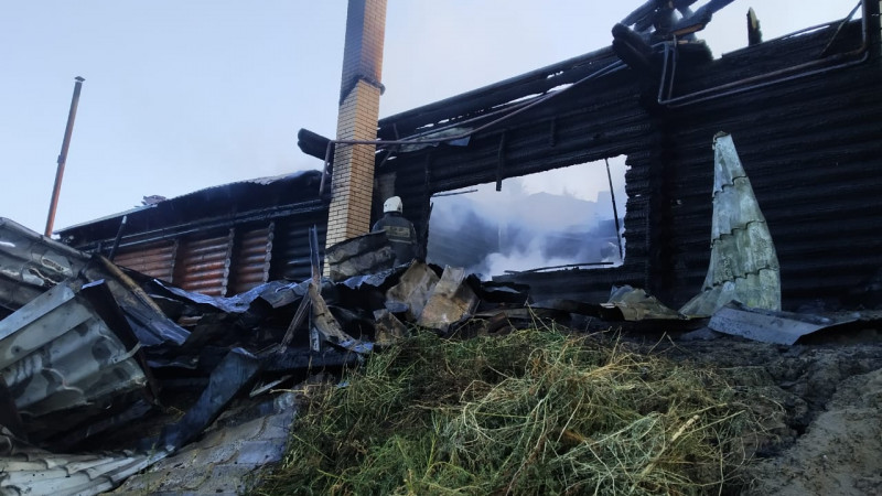 Фото: Павлодар облыстық ТЖД