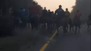 Алматы облысында автожолда көкпар тартқандар жазаланды