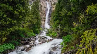 Көкжидек қосылған күлгін балмұздақ фотосы