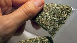 Тараздық тұрғынның көлігінен 18 келі марихуана анықталды