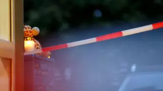 Германиядағы 5 баланың өлімі: полиция істі тергеп жатыр