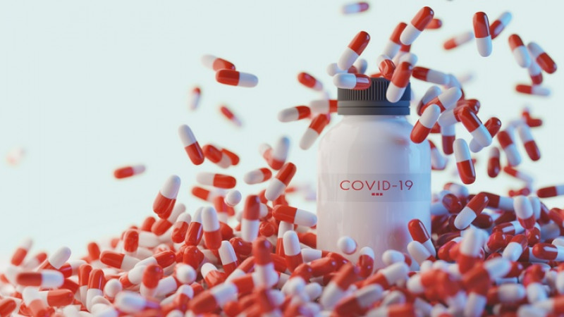 Фото:elements.envato.com