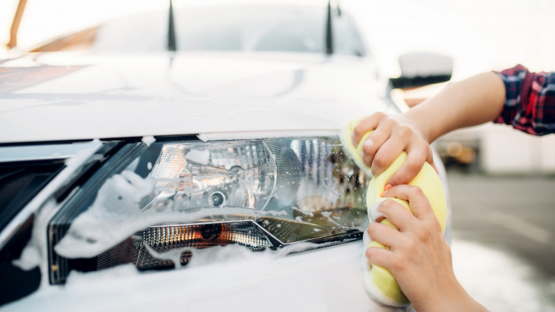 Фото: elements.envato.com