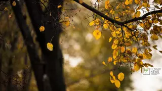 Алдағы демалыс күндері ауа райы қандай болады?