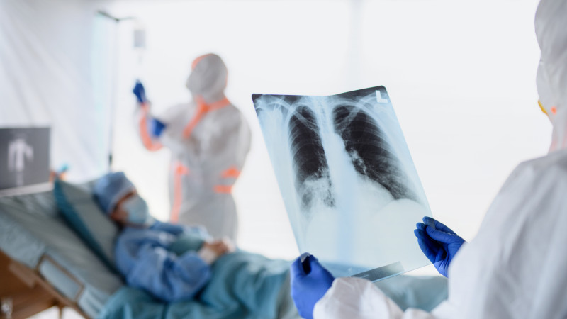 Фото: elements.envato.com