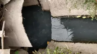 Алматыда аудан тұрғындары кәріз суын арыққа ағызады - эколог