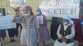 Видеодан кадр