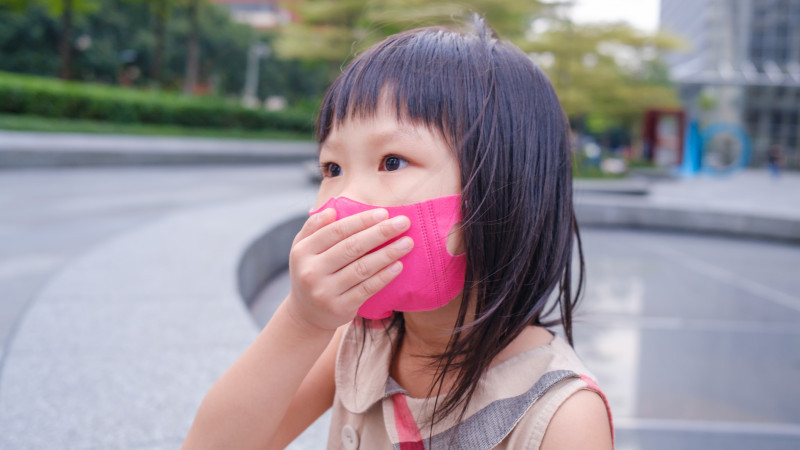 Сурет: elements.envato.com