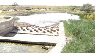 Қазақстанда ұзын өзендердің бірі жойылып барады