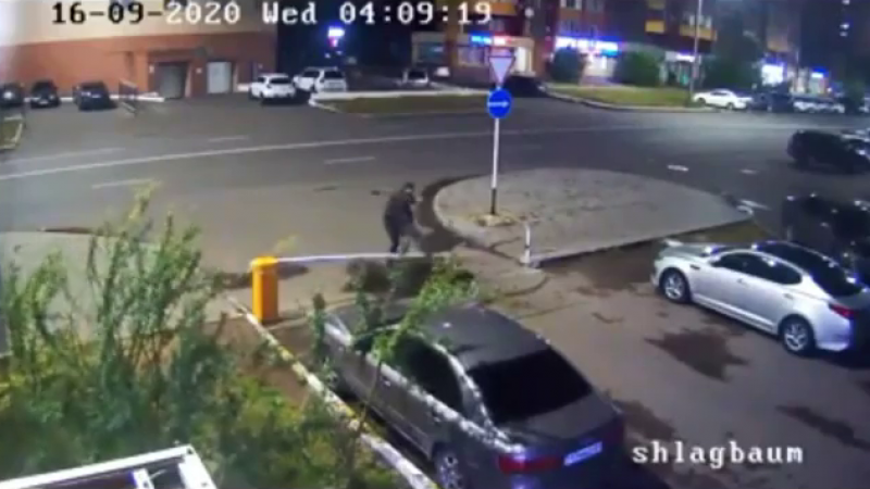 Скрин видео