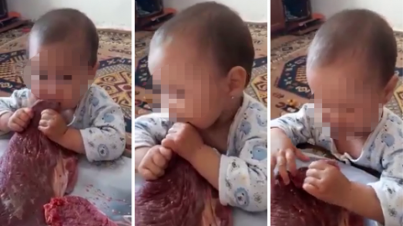 Видеодан алынған кадр