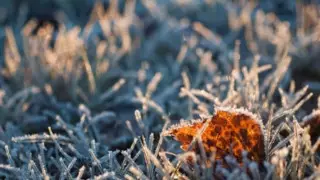 Алдағы күндері ауа райы қандай болады?