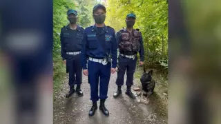 Ит жоғалып кеткен алматылық әйелдің мәйітін тапты