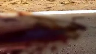 Ақтауда мотоциклші атты қағып кеткен сәт видеоға түсіп қалды