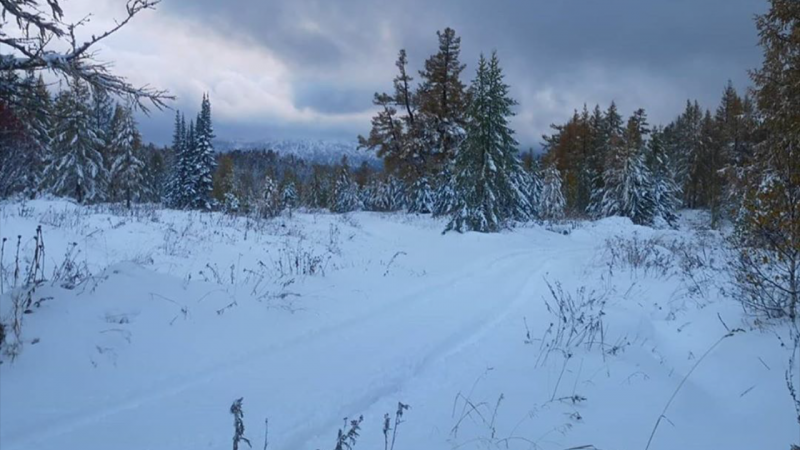 Сурет: instagram.com/osa_news_vko