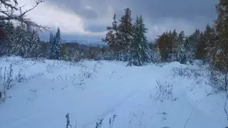 ШҚО-да 12 сантиметр қар түсті