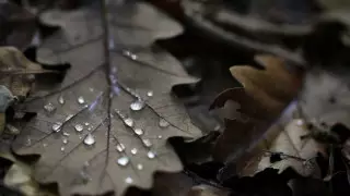 Алдағы күндері ауа райы қандай болады?