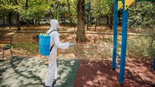 Карантин жеңілдетілмейді - Цой