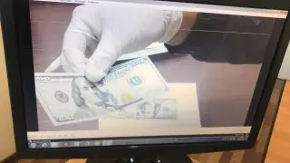 Шымкентте түрме басшылығына пара бермек болған әйел ұсталды