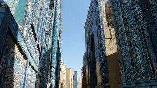 Әйел органы тентек