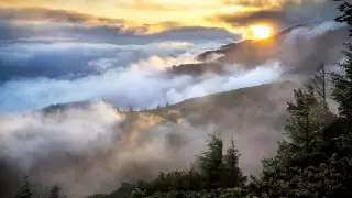 Қазақстанның бірнеше өңірінде жел соғып, тұман түседі